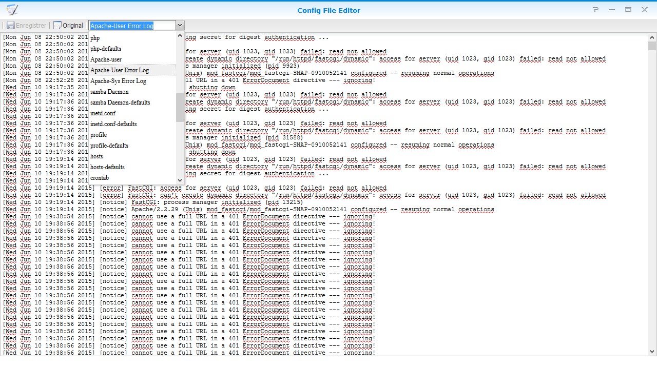 Config File Editor pour DSM